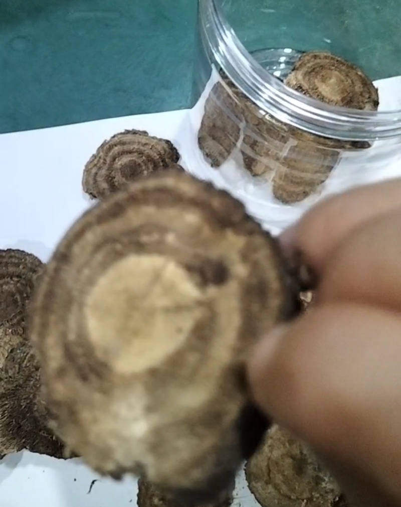 1756113161979242.jpg 二月風野生葛根丁.jpg