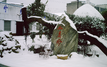 二月風(fēng)致老友：一碗葛根粉的牽掛，農(nóng)博會(huì)上的重逢之約二月風(fēng)盼老友：農(nóng)博會(huì)上，再續(xù)葛粉情緣
